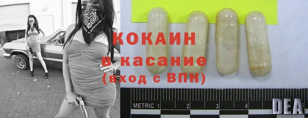тгк Касимов