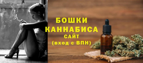 тгк Касимов