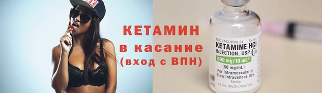 трава Карпинск