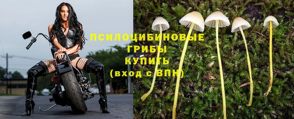 гидропоника Карталы