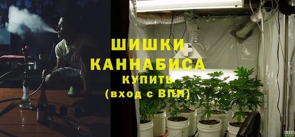 трава Карпинск